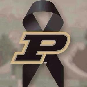 Meet your Posher, Jiarui